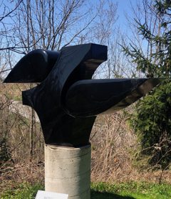 karoly veress wings